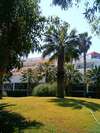 Doreta Beach Hotel 